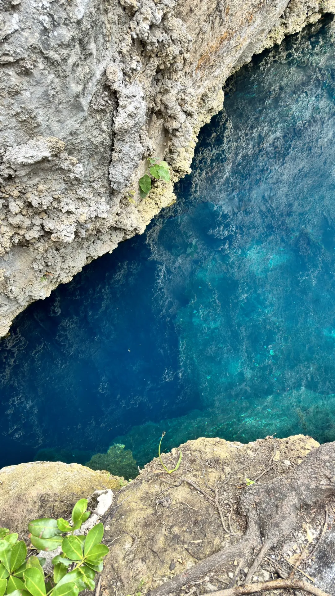 Agua turquesa del Cenote Chucumaltik entre las rocas