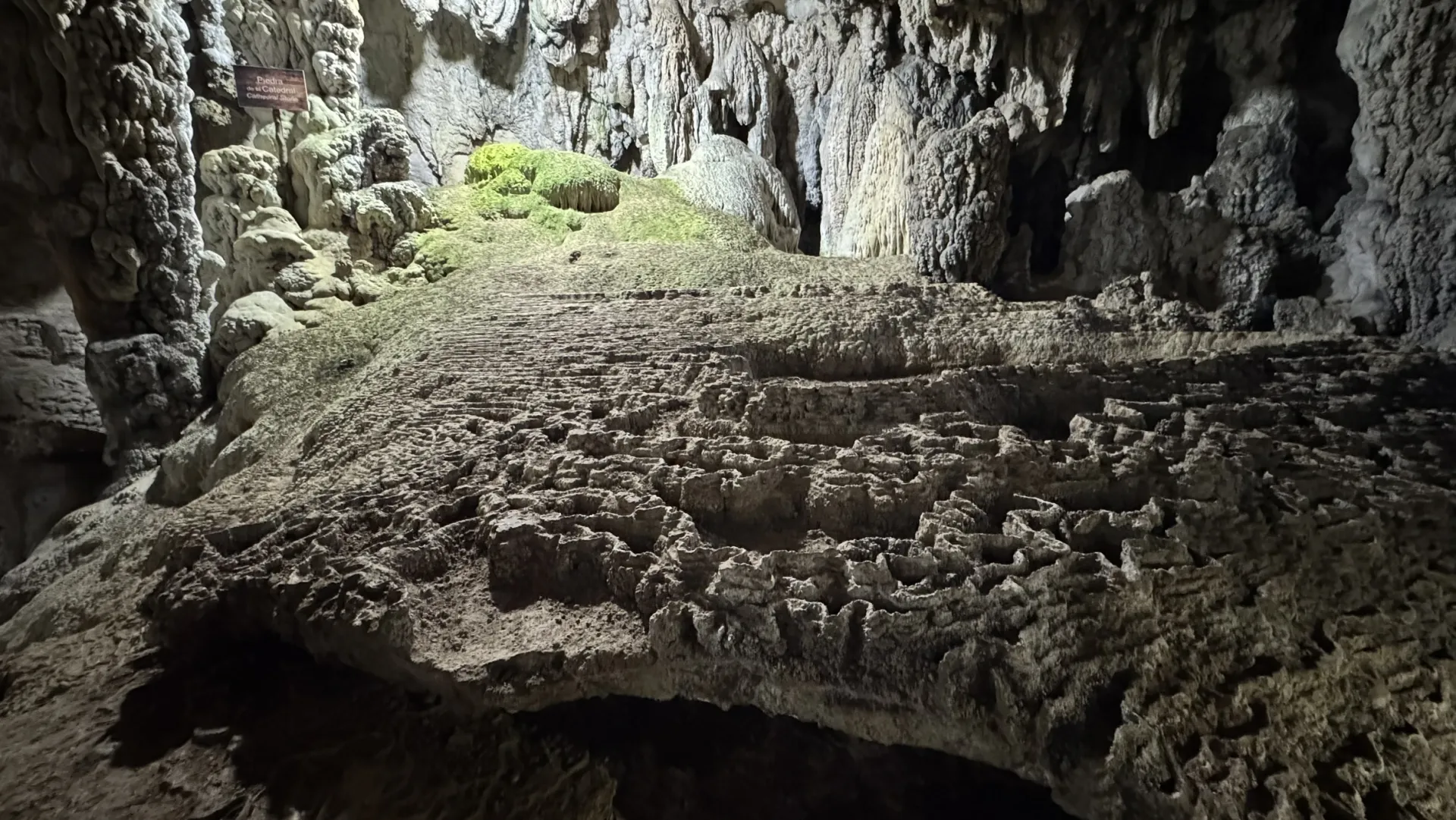 Formación de piedra con vegetación en las grutas
